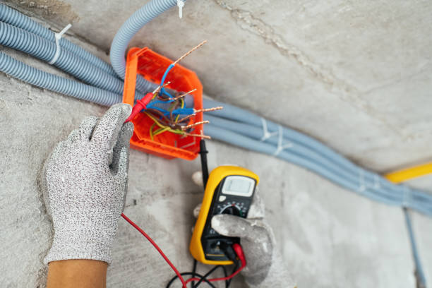 Best Licensed Electrician  in Mino, CA
